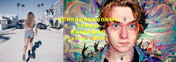 соль ск Балахна