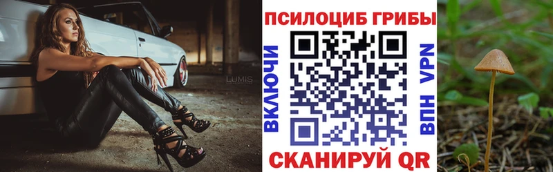 купить наркотик  Воскресенск  kraken tor  Псилоцибиновые грибы прущие грибы 