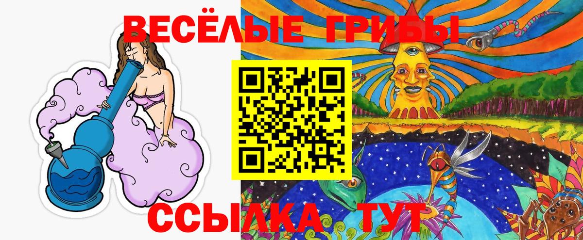 Воскресенск  Галлюциногенные грибы MAGIC MUSHROOMS  Вход с VPN  Псилоцибиновые грибы мухоморы 