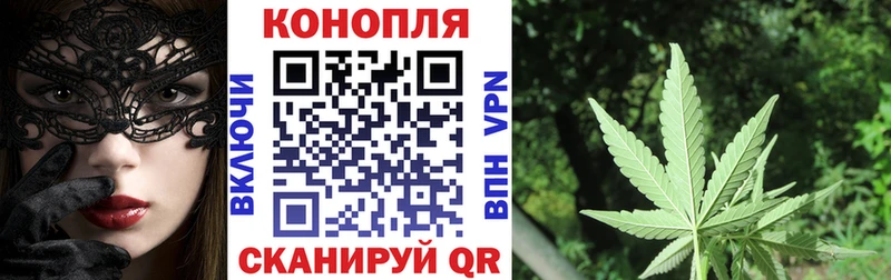 закладки  Воскресенск  Конопля Amnesia 